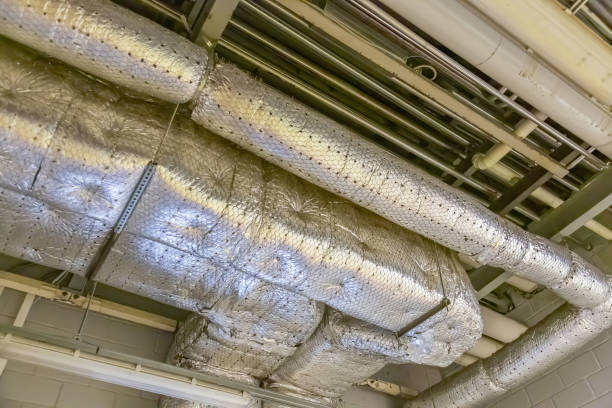 Best Air Duct Sanitizing Services  in Dry Ridge, KY